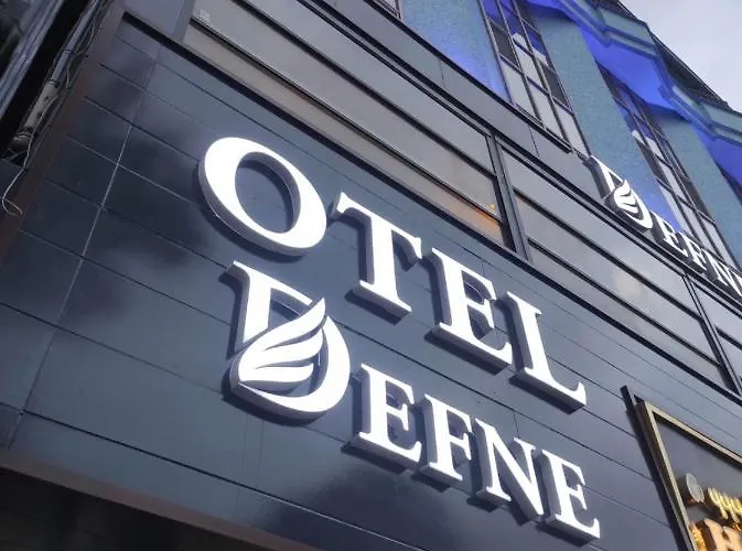 Hotel Defne *