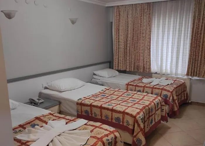 Hotel Defne Polatlı